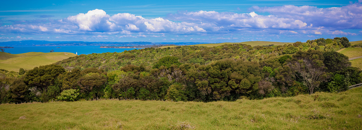 Motutapu Island: A Flourishing Partnership for Ecological Restoration