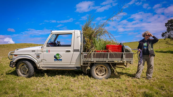 Motutapu Restoration Trust