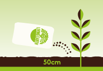 Dig Living Earth Organic Compost through the soil in your garden or your raised garden beds before planting. Dig a 50mm layer of compost into your soil.